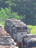 VLI 4821